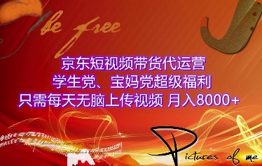 京东短视频带货代运营，学生党、宝妈党超级福利，只需每天无脑上传视频，月入8000+【仅揭秘】-Ai创业网