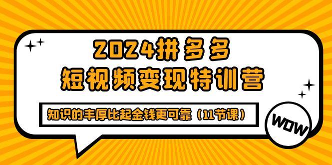 (9817期)2024拼多多短视频变现特训营，知识的丰厚比起金钱更可靠(11节课)-Ai创业网