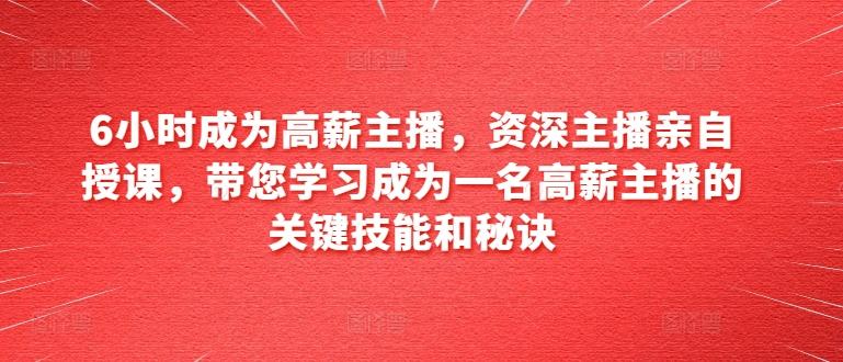 6小时成为高薪主播，资深主播亲自授课，带您学习成为一名高薪主播的关键技能和秘诀-Ai创业网
