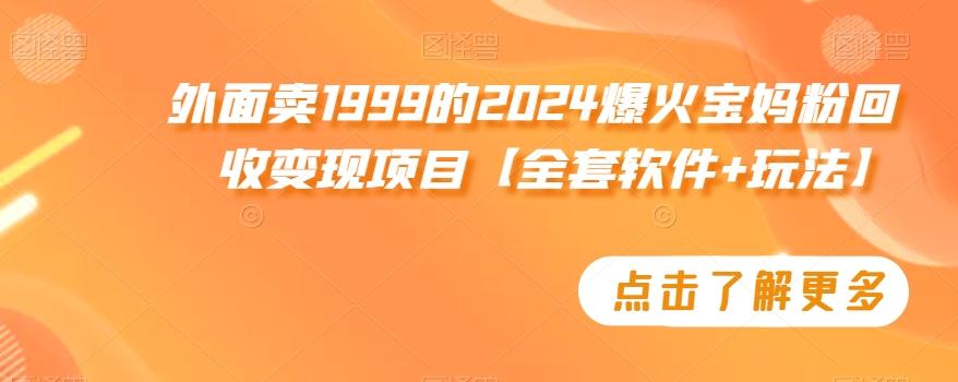 外面卖1999的2024爆火宝妈粉回收变现项目【全套软件+玩法】【揭秘】-Ai创业网