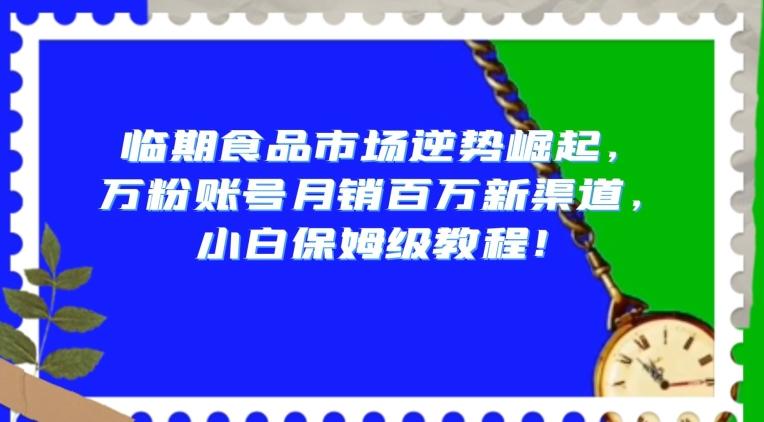 临期食品市场逆势崛起，万粉账号月销百万新渠道，小白保姆级教程【揭秘】-Ai创业网