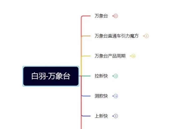 白羽·直引万搜索全篇，从0-1，多个类目实操经验总结付费-Ai创业网