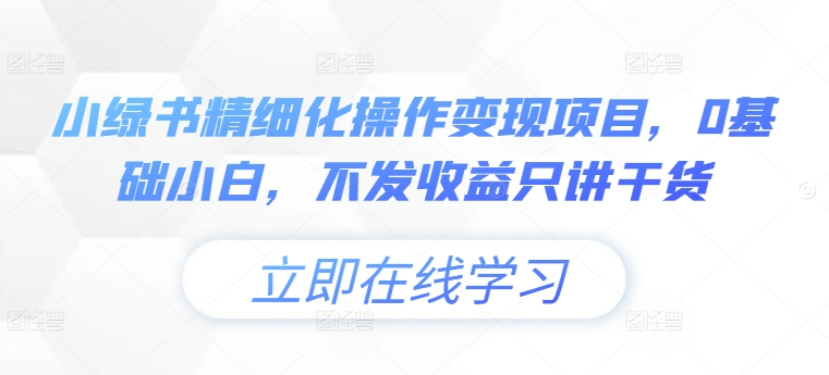 小绿书精细化操作变现项目，0基础小白，不发收益只讲干货-Ai创业网