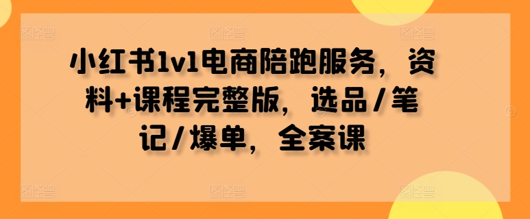 小红书1v1电商陪跑服务，资料+课程完整版，选品/笔记/爆单，全案课-Ai创业网
