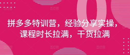 拼多多特训营，经验分享实操，课程时长拉满，干货拉满(更新25年4月)-Ai创业网
