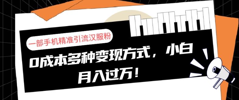 一部手机精准引流汉服粉，0成本多种变现方式，小白月入过万！-Ai创业网