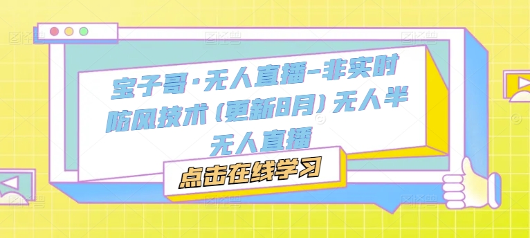 宝子哥·无人直播-非实时防风技术(更新11月)无人半无人直播-Ai创业网
