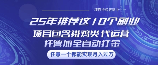 25年推荐这10个副业项目包含褂鸡类、代运营托管类、全自动打金类【揭秘】-Ai创业网