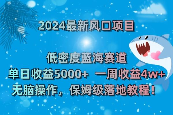 (8545期)2024最新风口项目 低密度蓝海赛道，日收益5000+周收益4w+ 无脑操作，保…-Ai创业网