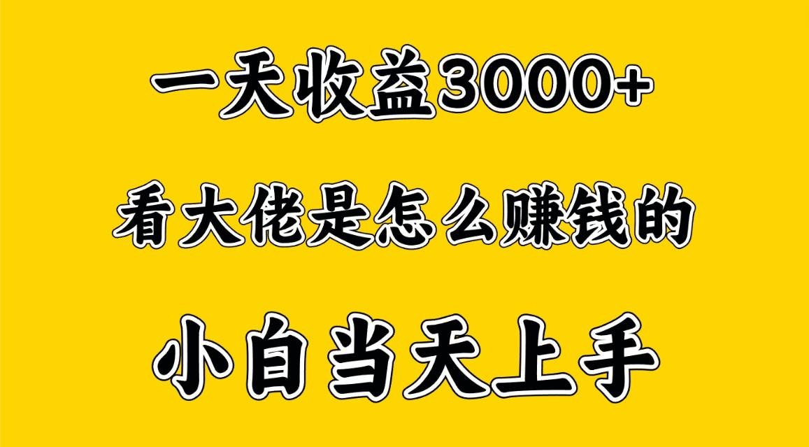 一天赚3000多，大佬是这样赚到钱的，小白当天上手，穷人翻身项目-Ai创业网