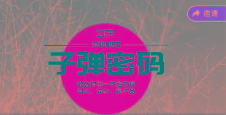 《子弹密码训练营》-用一句话文案勾人勾心卖产品，21天学到顶尖文案大师策略和技巧-Ai创业网