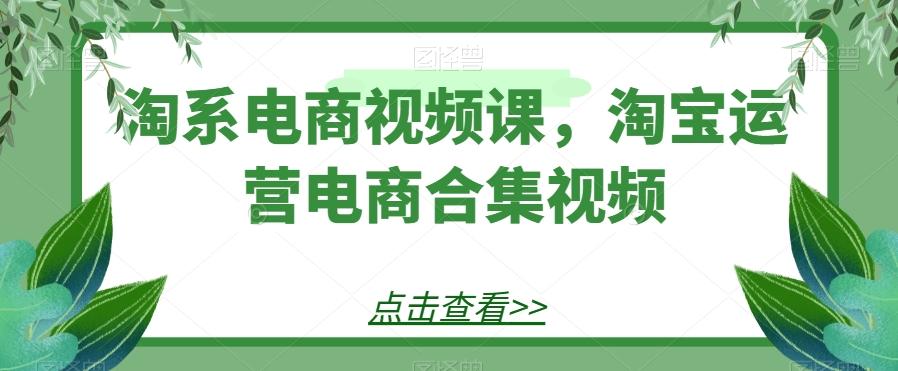 淘系电商视频课，淘宝运营电商合集视频-Ai创业网