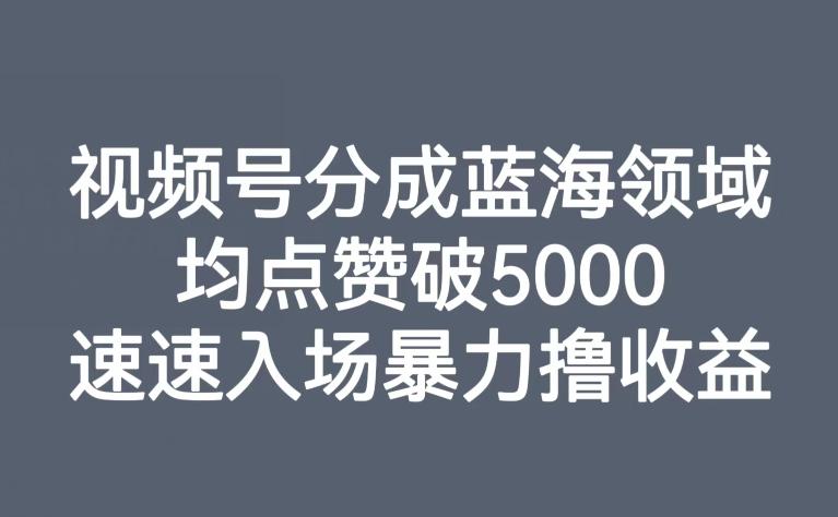 视频号分成蓝海领域，均点赞破5000，速速入场暴力撸收益-Ai创业网