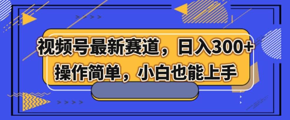 视频号最新赛道，日入300+，新手小白轻松掌握-Ai创业网