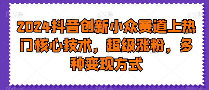 2024抖音创新小众赛道上热门核心技术，超级涨粉，多种变现方式【揭秘】-Ai创业网
