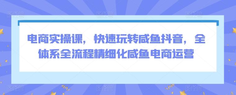 电商实操课，快速玩转咸鱼抖音，全体系全流程精细化咸鱼电商运营-Ai创业网