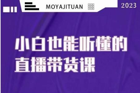 大威本威·能听懂的直播带货课，小白也能听懂，20节完整-Ai创业网