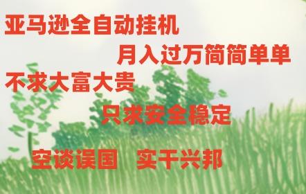 亚马逊全自动浏览挂机，，收益稳定且前景广阔-Ai创业网