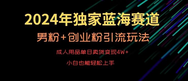 2024年独家蓝海赛道，成人用品单日卖货变现4W+，男粉+创业粉引流玩法，不愁搞不到流量【揭秘】-Ai创业网