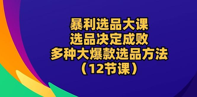 暴利 选品大课：选品决定成败，教你多种大爆款选品方法(12节课-Ai创业网
