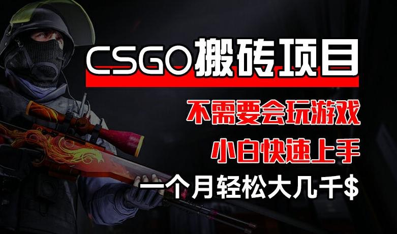 CSGO 装备搬砖项目，操作简单，不需要会玩游戏，小白也能快速上手，一个月轻松大几千【揭秘】-Ai创业网