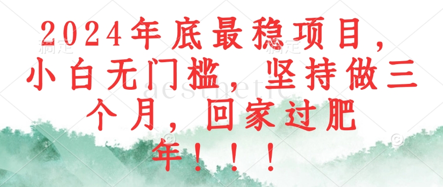2024年底最稳项目，小白无门槛，坚持做三个月，回家过肥年！！！-Ai创业网