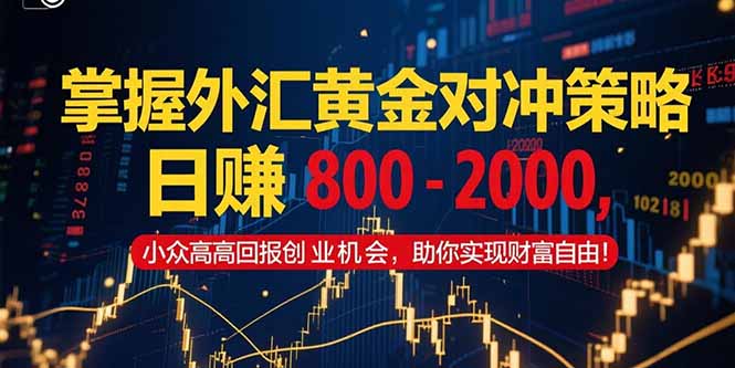 掌握外汇黄金对冲策略，日赚 800 - 2000，小众高回报创业机会，助你实...-Ai创业网