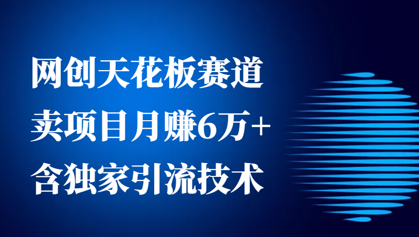 网创天花板赛道，卖项目月赚6万+，含独家引流技术(共26节课)-Ai创业网