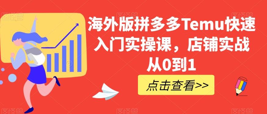 海外版拼多多Temu快速入门实操课，店铺实战从0到1-Ai创业网