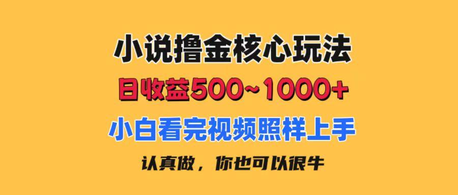 小说撸金核心玩法，日收益500-1000+，小白看完照样上手，0成本有手就行-Ai创业网