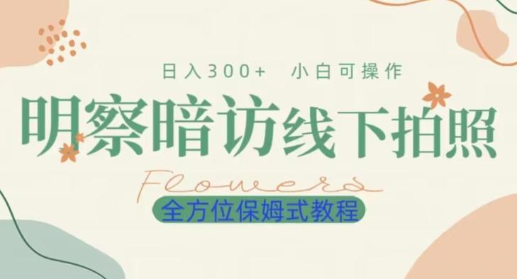 明拍暗拍项目0成本投入日入300+小白可操作保姆式全方位教程-Ai创业网