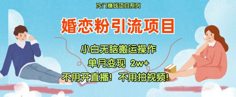 小红书婚恋粉引流，不用开直播，不用拍视频，不用做交付【揭秘】-Ai创业网