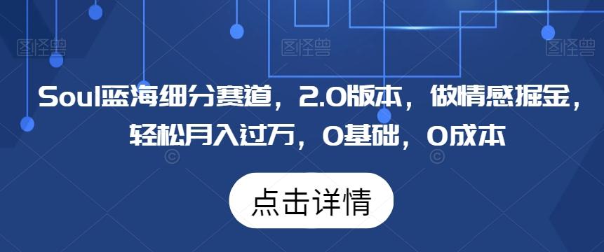 Soul蓝海细分赛道，2.0版本，做情感掘金，轻松月入过万，0基础，0成本-Ai创业网