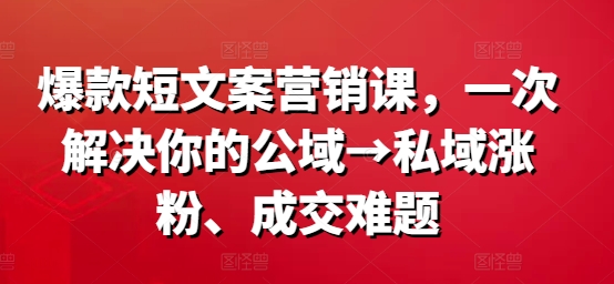 爆款短文案营销课，一次解决你的公域→私域涨粉、成交难题-Ai创业网