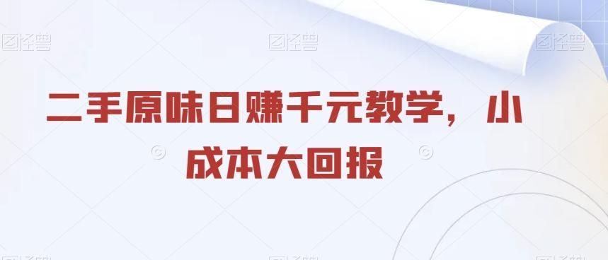 二手原味日赚千元教学，小成本大回报-Ai创业网