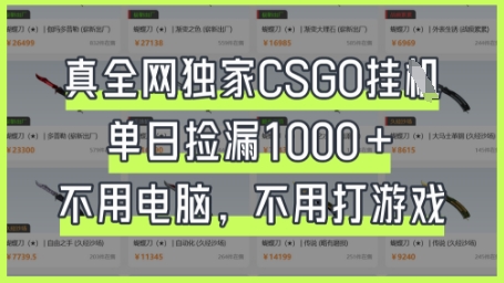 真全网独家CSGO挂G，单日捡漏1k+【揭秘】-Ai创业网