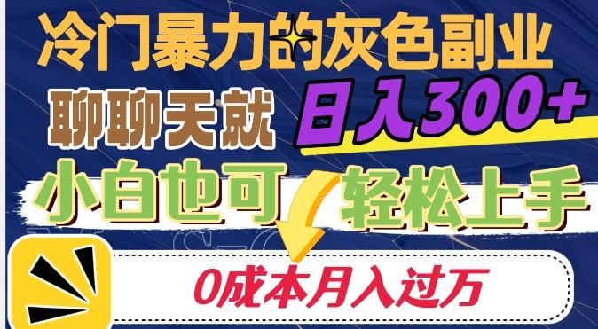 冷门暴利的副业项目，聊聊天就能日入300+，0成本月入过万【揭秘】-Ai创业网
