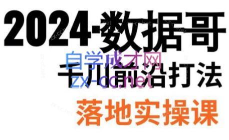 数据哥·2024年千川前沿打法落地实操课-Ai创业网