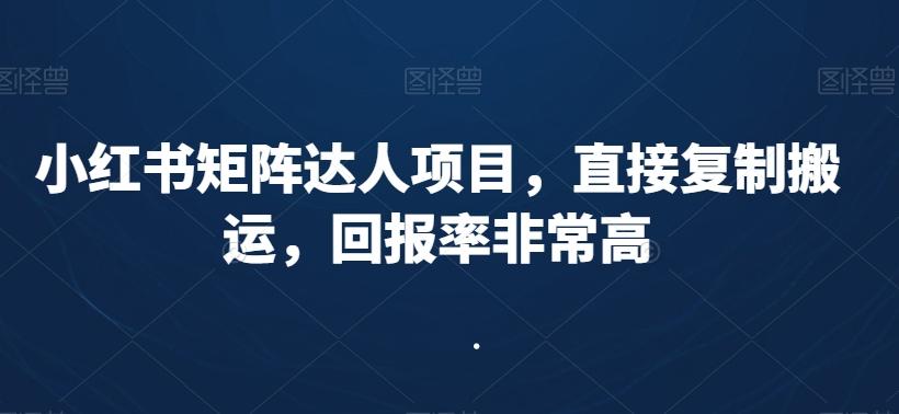 小红书矩阵达人项目，直接复制搬运，回报率非常高-Ai创业网