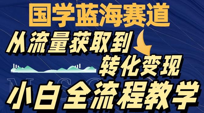 国学蓝海赛道，从流量获取，到转化变现，全流程教学-Ai创业网
