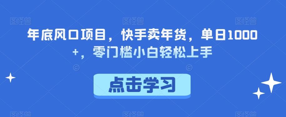 年底风口项目，快手卖年货，单日1000+，零门槛小白轻松上手-Ai创业网