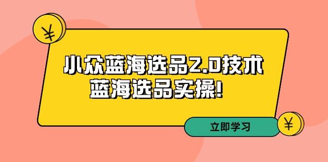 拼多多培训第33期：小众蓝海选品2.0技术-蓝海选品实操！-Ai创业网