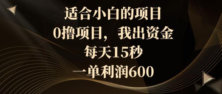 适合小白的项目，0撸项目，我出资金，每天15秒，一单利润600-Ai创业网