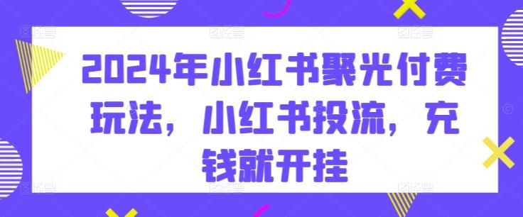 2024年小红书聚光付费玩法，小红书投流，充钱就开挂-Ai创业网