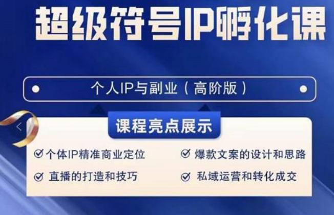 超级符号IP孵化高阶课，建立流量思维底层逻辑，打造属于自己IP（51节课）-Ai创业网