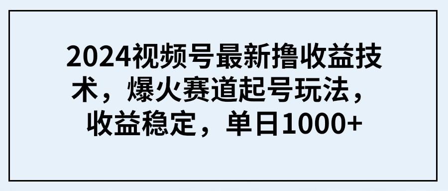 (9651期) 2024视频号最新撸收益技术，爆火赛道起号玩法，收益稳定，单日1000+-Ai创业网