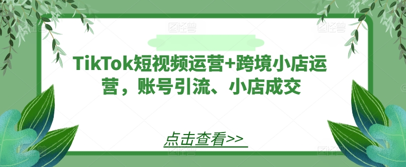 TikTok短视频运营+跨境小店运营，账号引流、小店成交-Ai创业网