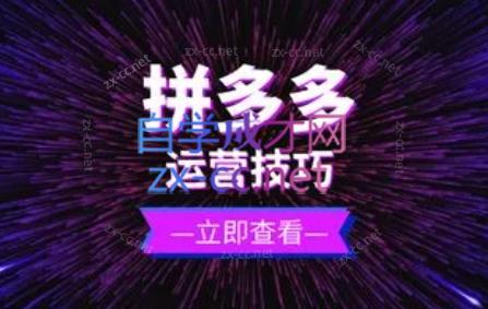 力辛电商·拼多多强付费店群玩法-Ai创业网