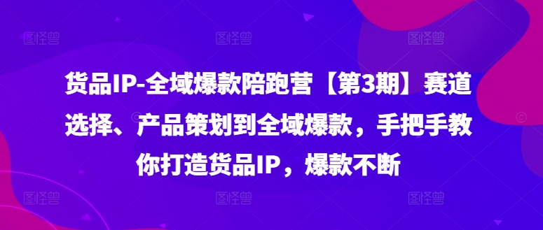 货品IP全域爆款陪跑营【第3期】赛道选择、产品策划到全域爆款，手把手教你打造货品IP，爆款不断-Ai创业网