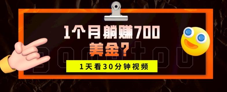 1天看30分钟视频，1个月躺赚700美金？-Ai创业网